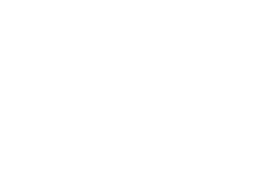 Logo OSCAR